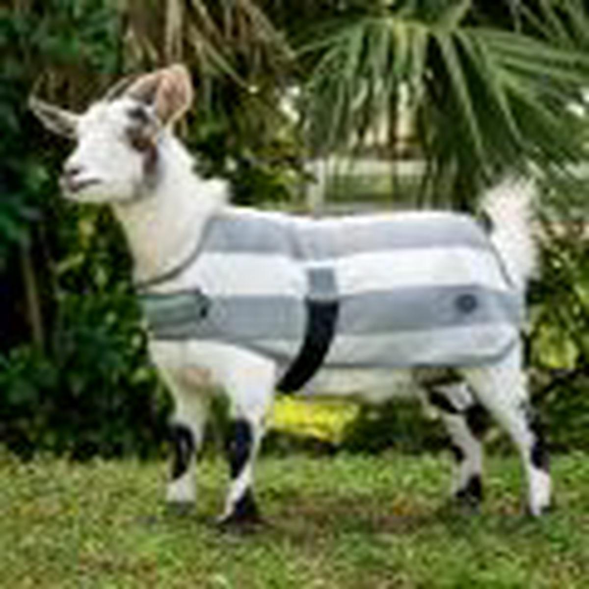 product-image-0