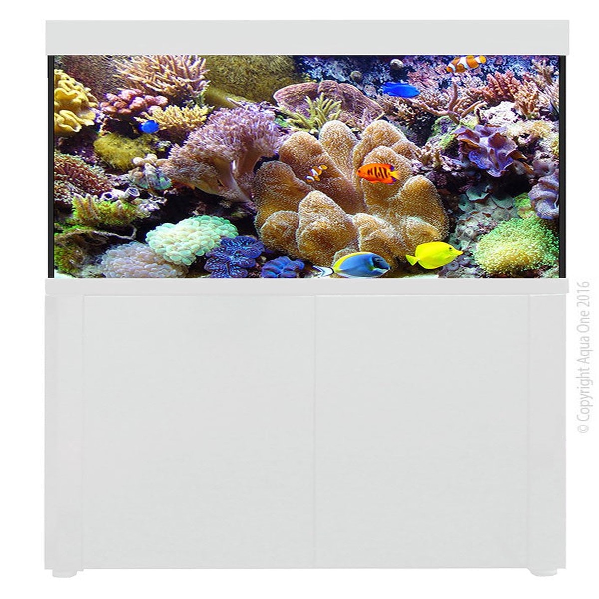 product-image-0