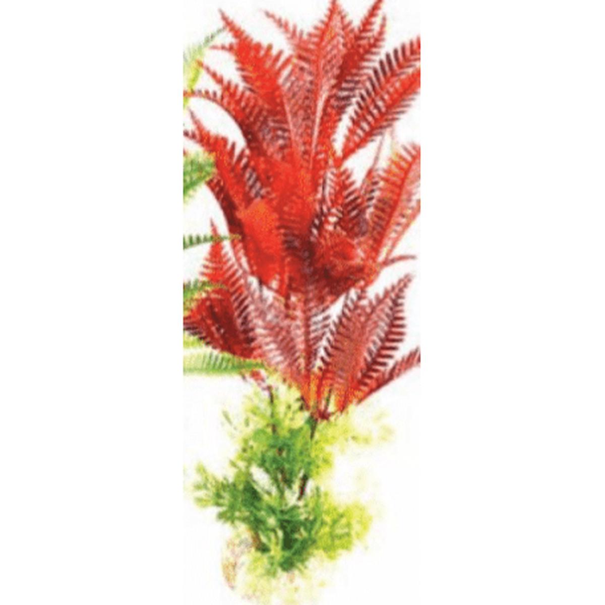 product-image-0