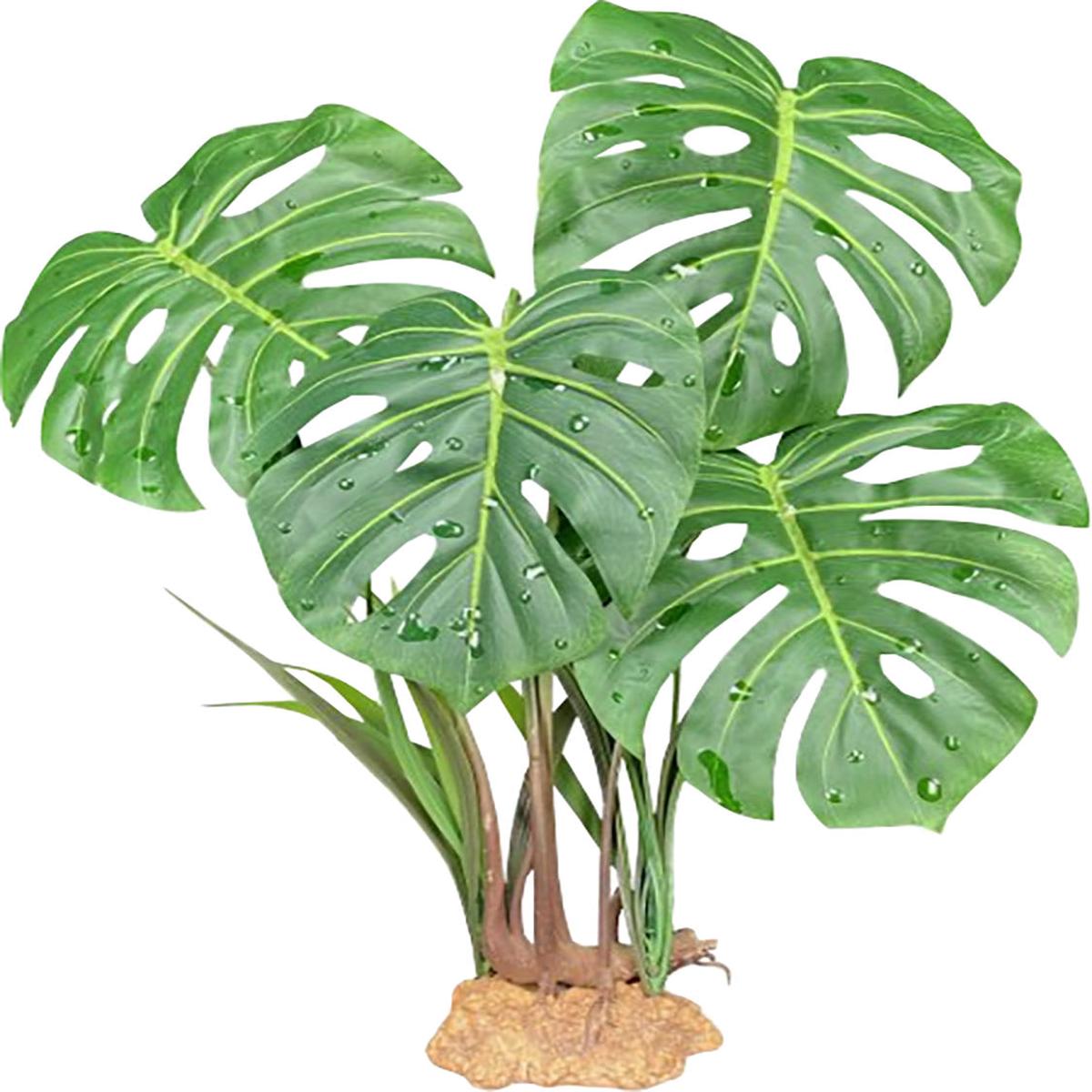product-image-0