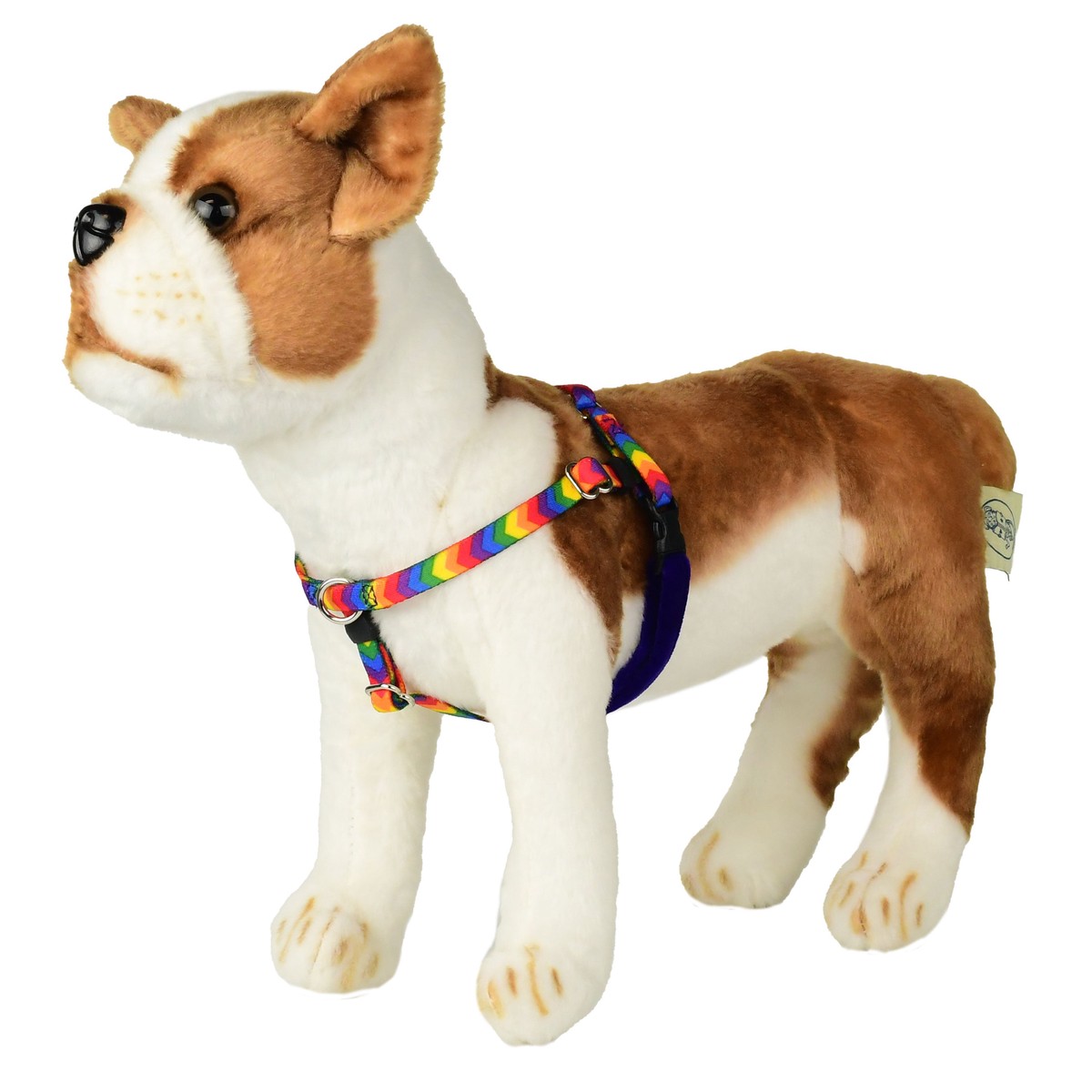 product-image-0