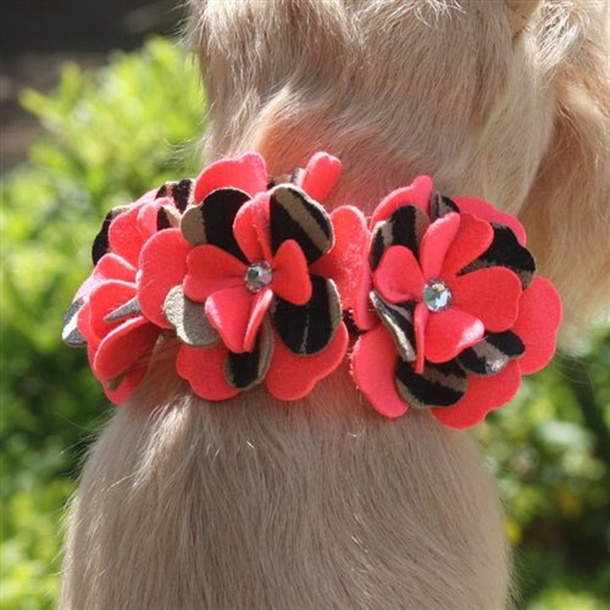 product-image-0