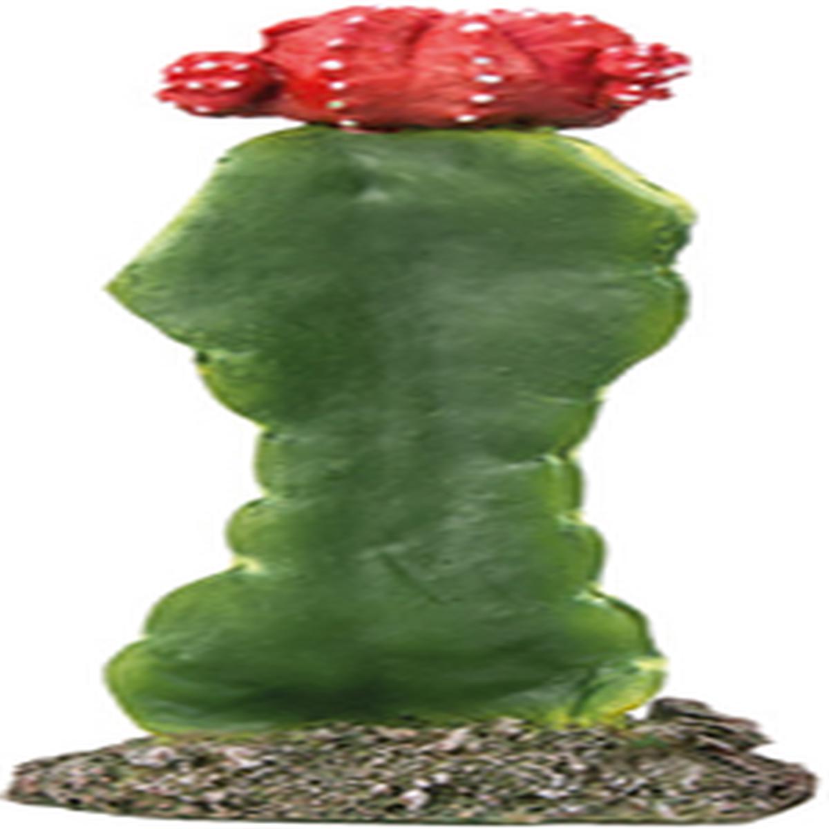 product-image-0